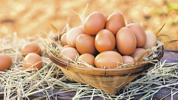 Yumurta satışında yeni dönem