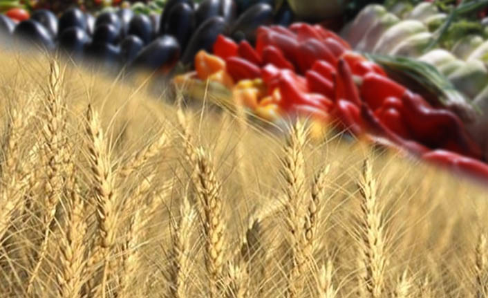 Ukrayna'dan ithal edilen tarım  ürünleriyle ilgili geçici düzenleme