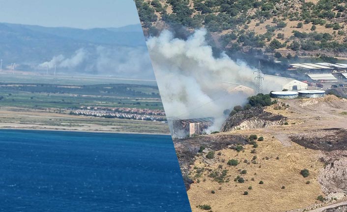 İzmir Bergama'da  orman yangın çıktı
