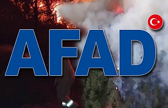 AFAD'dan orman yangını açıklaması