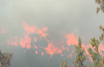Marmaris'te orman yangı durmak bilmiyor