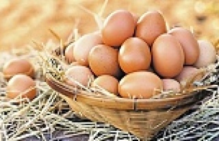 Yumurta satışında yeni dönem