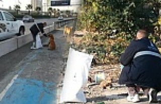 İzmir'de sokak hayvanları unutulmadı