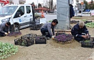 Antalya'da 11 bin çiçek toprakla buluştu