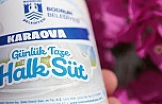 Bodrum'da ücretsiz halk süt dağıtımı yeniden...