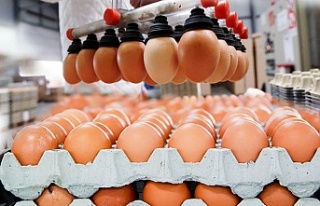 Yumurta  fiyatına müfettiş incelemesi