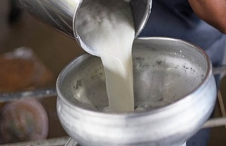 Konseyden süt üretimi fiyat açıklaması