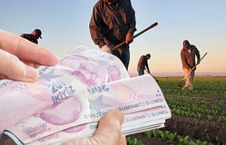 Bakanı Nebati tarım kredisi kullananları açıkladı