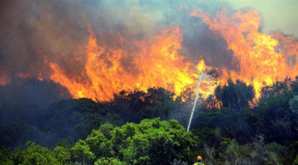 5 yılda 13 bin 644 orman yangını