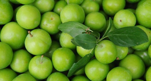 Yeşil erik yemeniz için 11 neden