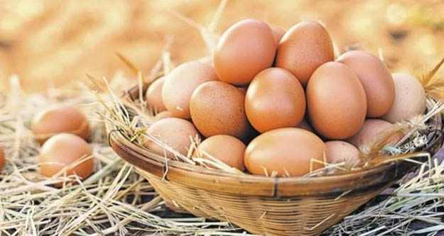 Yumurtaya 1 yılda yüzde yüz zam