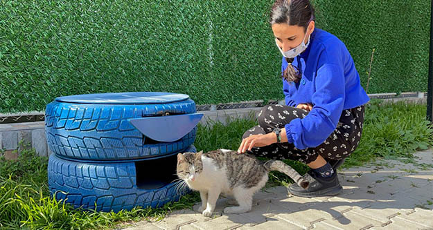 Seyhan'da lastik ve paletler sokak kedilerine yuvaya dönüşüyor
