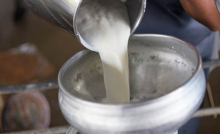 Konseyden süt üretimi fiyat açıklaması