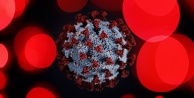 Dünya Sağlık Örgütü koronavirüsle ilgili doğru bilinen yanlışları açıkladı