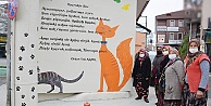 Ciğercinin kedisi ile Sokak kedisi duvar resmi oldu