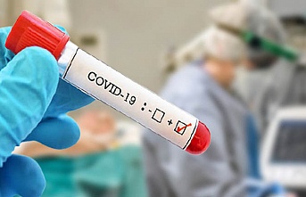 Koronavirüsten 137 kişi hayatını kaybetti