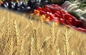 Ukrayna'dan ithal edilen tarım  ürünleriyle ilgili geçici düzenleme