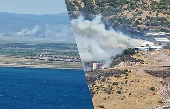 İzmir Bergama'da  orman yangın çıktı
