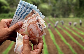 Ziraat Bankası: Takipteki tarım kredisi alacakları yüzde 18 azaldı