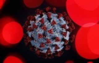 Dünya Sağlık Örgütü koronavirüsle ilgili doğru...
