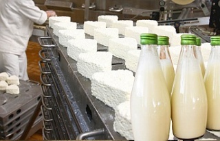 Süt ve peynir üretimi yılın iki ayında azaldı